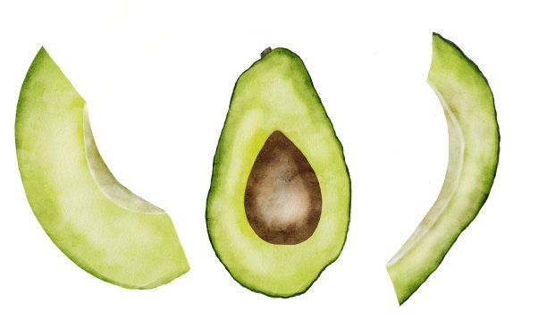 牛油果水彩插图集。部分和半部分在孤立背景上的插图。热带水果写实绘画。绿色成熟蔬菜用于食品包装和厨房、餐厅纺织品设计。高质量照片图片下载