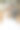 新娘和新郎以童话般的森林为背景。皇室婚礼概念。新郎拥抱新娘。温柔和冷静。肖像照片图片下载