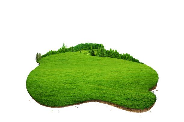三维森林景观插图。一片长满绿草的土地。图片下载