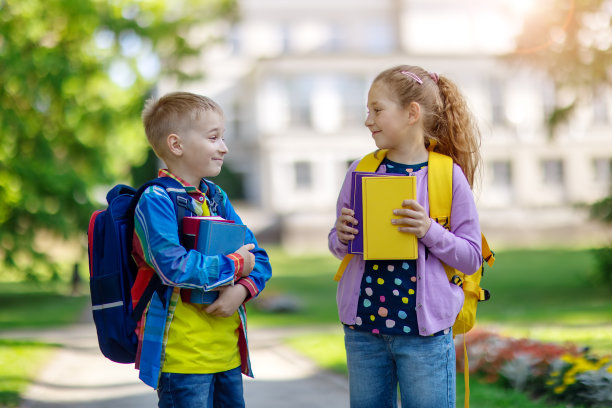 女学生和男学生站在一起聊天。图片下载