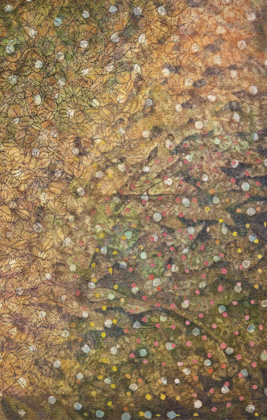 树叶，植物和彩色球的抽象照片插图。图片下载