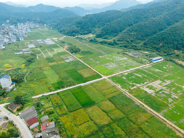 农田的航空摄影图片下载