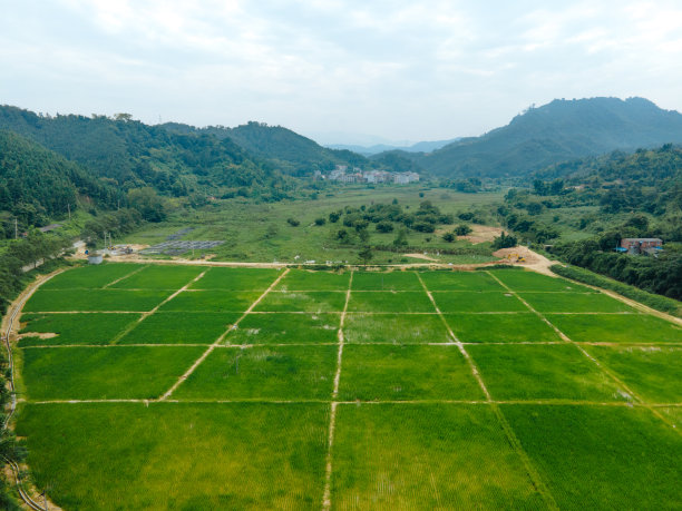 农田的航空摄影图片下载