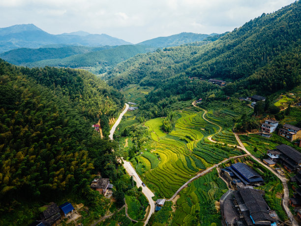 农田的航空摄影图片下载