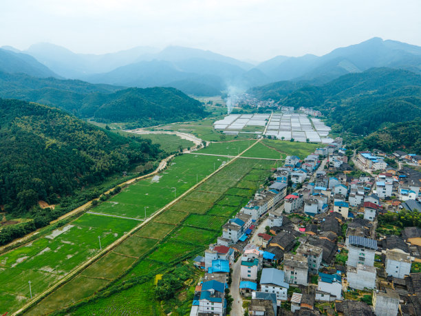 农田的航空摄影图片下载