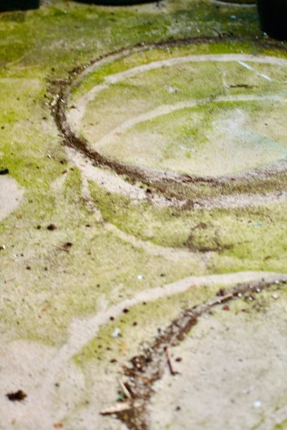 肮脏，苔藓斑块，露台甲板图片下载