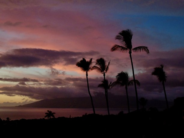 在毛伊岛的热带岛屿上，夕阳西下，椰子树上的高云变成了橘红色和紫色图片下载