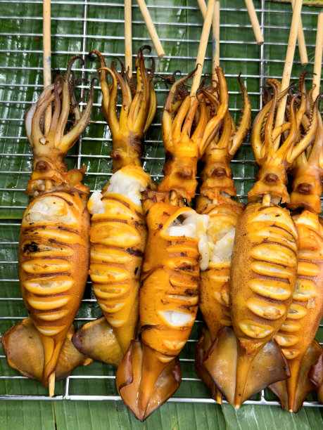 特写图片:金属烤架上一排排的竹签上的烤海鲜串放在香蕉叶上，煮熟的、有刻痕的、塞满鸡蛋的鱿鱼，触手上有圆形的粘性吸盘图片下载