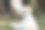 一个美丽感性的年轻黑发新娘在长白色婚纱和面纱站在公园拿花束户外自然背景，水平图片的全长侧视图图片下载