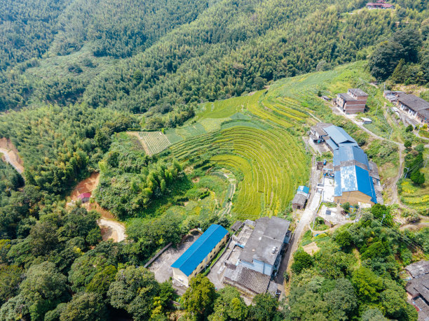 农田的航空摄影图片下载