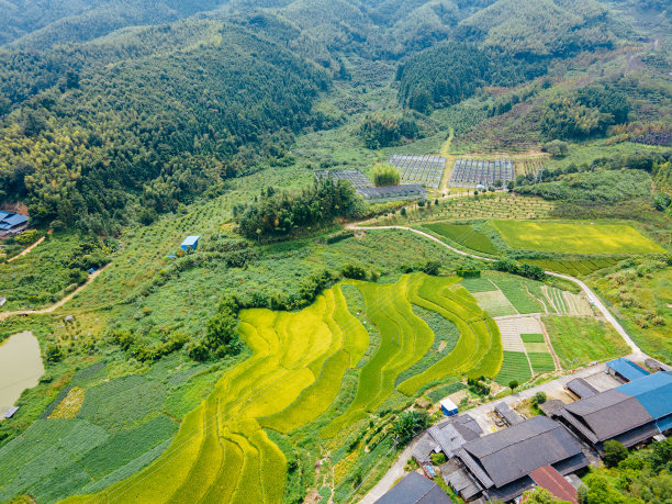 农田的航空摄影图片下载