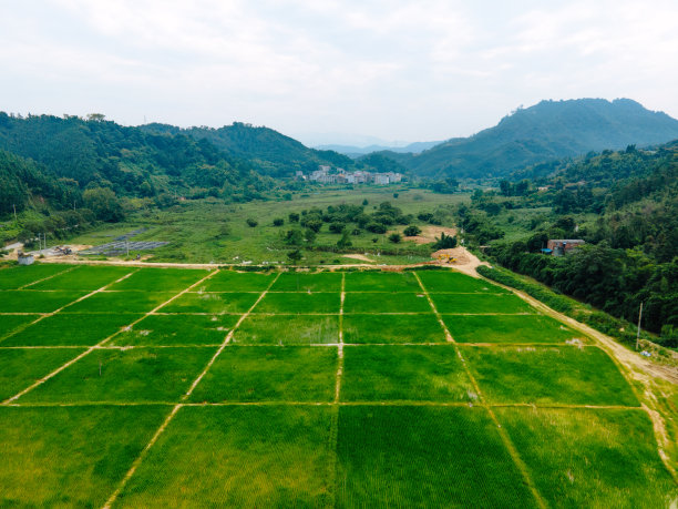 农田的航空摄影图片下载