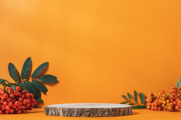 木架工作室空无一人图片下载