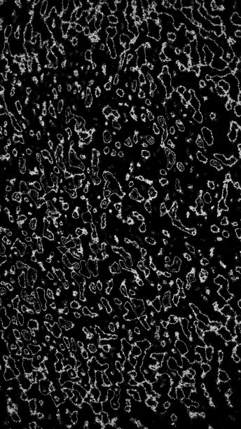 抽象和创造性的黑白背景图片图片下载