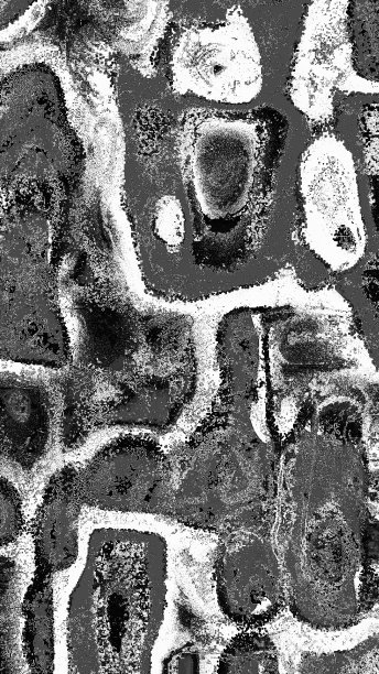 抽象和创造性的黑白背景图片图片下载