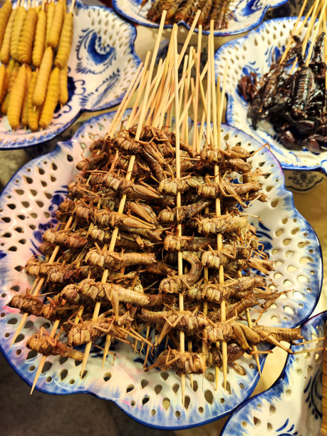 深圳罗湖东门美食城的蚱蜢串图片下载