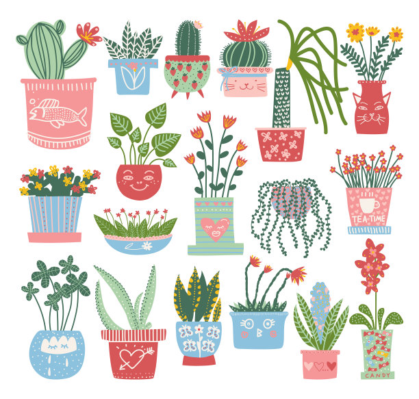 不同的室内植物。家居、办公室装修卡通矢量图片下载