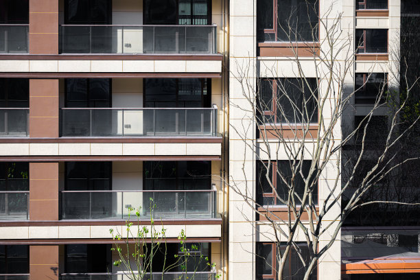 在一个阳光明媚的日子里，城市里的居民楼图片下载