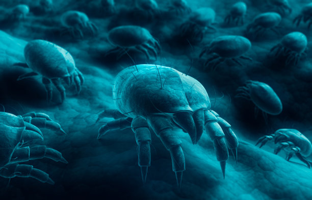 尘螨群图片下载