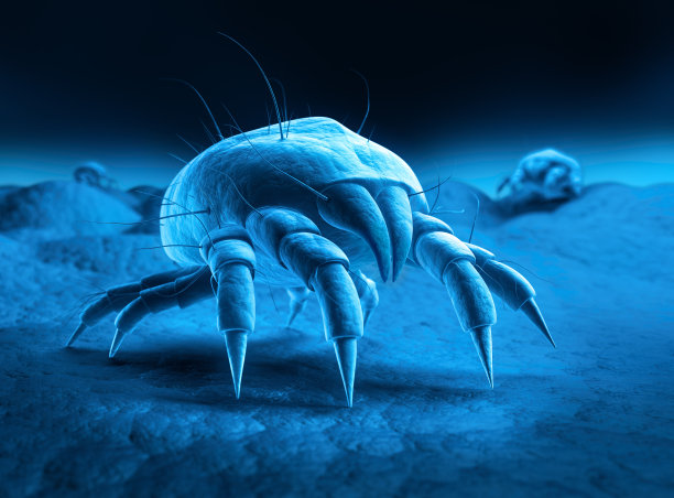 尘螨群图片下载