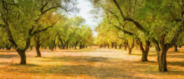 创意插画，复古水彩艺术设计。橄榄树。复古设计，自然背景。图片下载