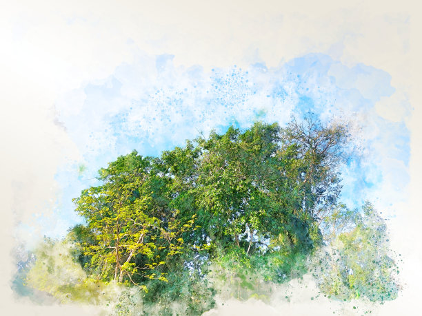 以水彩插画为背景，抽象色彩丰富的树木、土地、田野景观。图片下载