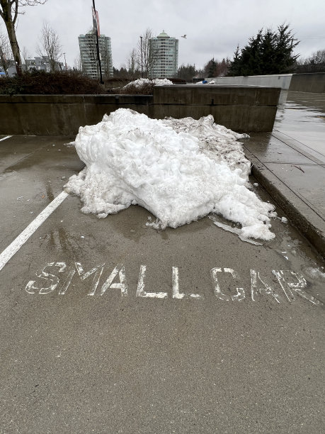 冬季停车摊位图片下载