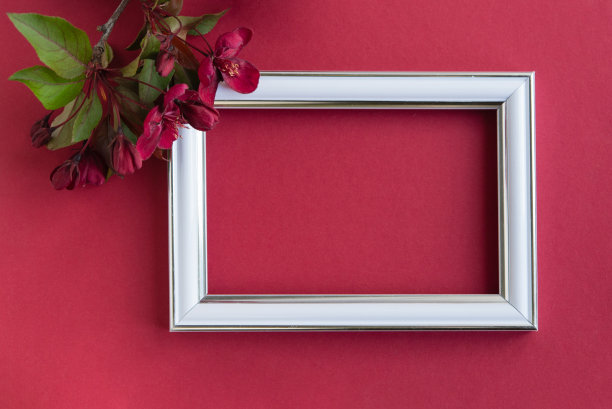 母亲节和妇女节的概念。俯视图照片的相框和一个分支的天堂苹果酒的红色花朵背景与空白的空间图片下载
