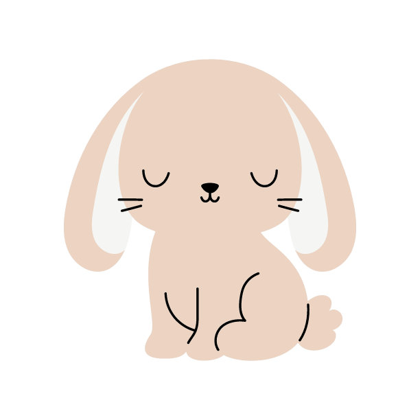 可爱的波西米亚复活节兔子。卡通兔子人物的孩子卡，婴儿淋浴，邀请，海报。矢量股票插图图片下载