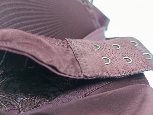 沉醉在奢华舒适的棕色蕾丝胸罩，提供风格和支持。图片下载