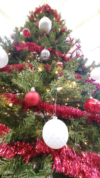 圣诞装饰霓虹灯中国灯。耶稣基督生日快乐。图片下载