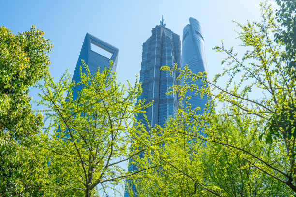 中国上海现代建筑的绿树前图片下载