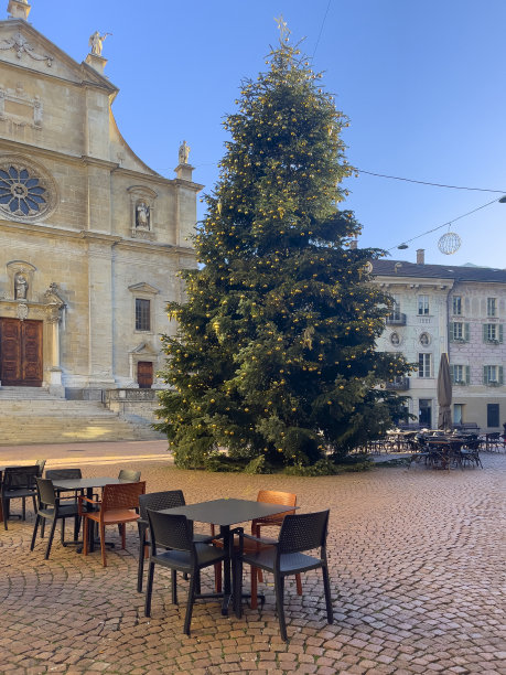 新年树图片下载