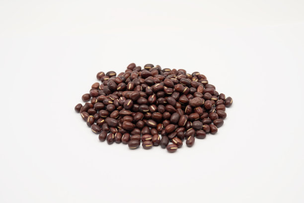 白底红豆，照片特写图片下载