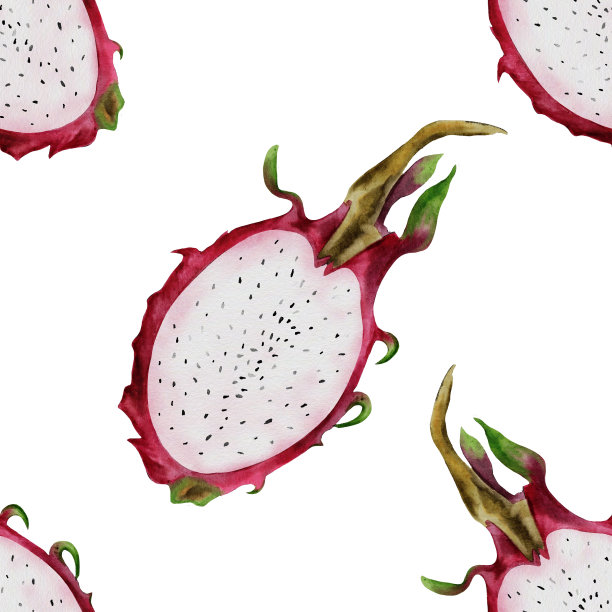 龙果水彩无缝图案。白色背景上的两半异域pitahaya。为了新鲜蔬菜店的包装纸，为了营养学家博客的支持图片下载