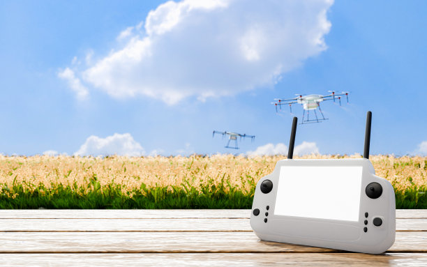 智能农场:农民使用无人机技术喷洒肥料或杀虫剂。稻田或农田使用无人机来降低成本，并且不受化学品的影响。3 d渲染。图片下载