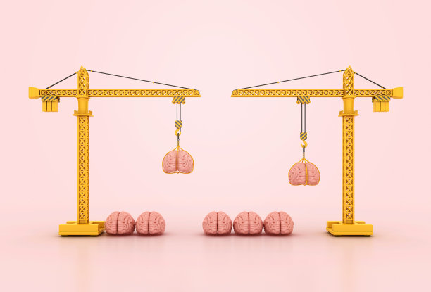 有脑的鹤图片下载