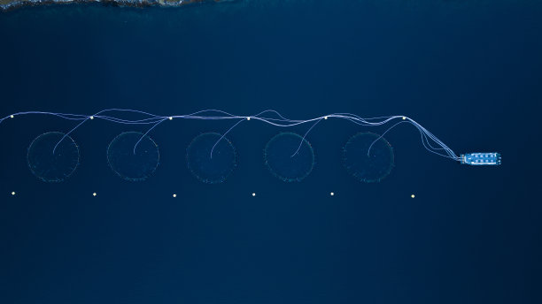 挪威鱼笼的俯视图图片下载