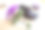 婚礼当天新郎的配饰。婚礼花束和鞋子。图片下载