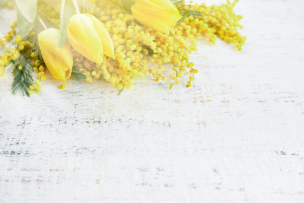 含羞草和郁金香春花复活节或逾越节家宴白色木制背景与阳光和眩光。母亲节贺卡，3月8日，逾越节快乐或复活节背景。模拟。图片下载