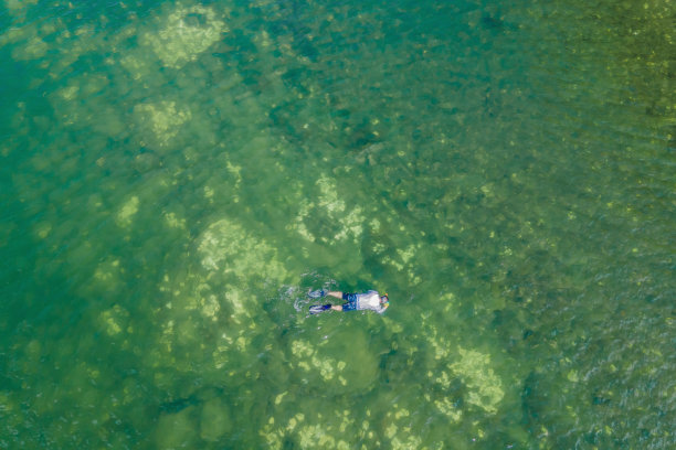 这是一个人在海里浮潜的照片图片下载