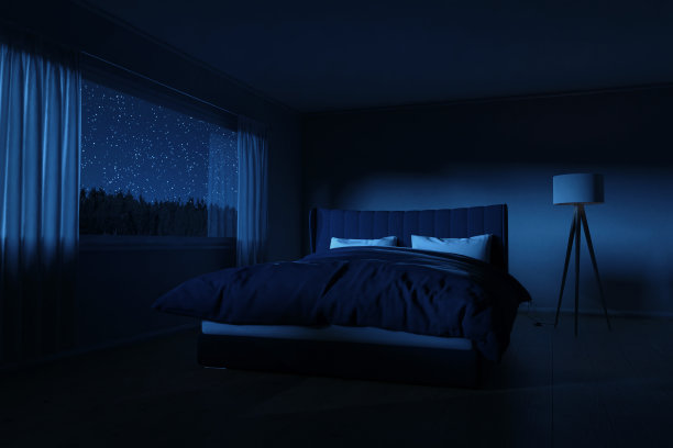 卧室的3d渲染与舒适的床在晚上图片下载