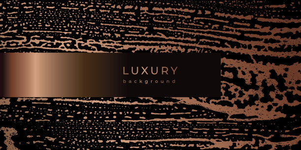 奢华的名片设计图片下载