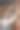 宠物店里有个带着贵宾犬的年轻女人图片下载