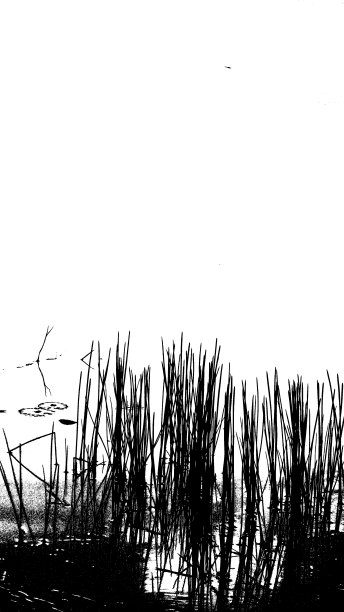 抽象和艺术摄影的黑白图片下载