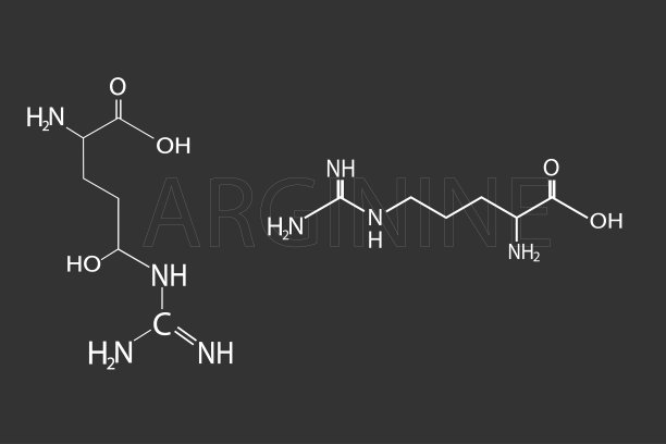 精氨酸分子骨架化学式图片下载