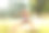 年轻女子在公园里练瑜伽的照片。图片下载
