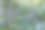 暴风雨后森林里倒下的树木。芬兰库萨莫附近的伊瓦拉原始森林拍摄的风暴破坏照片。图片下载