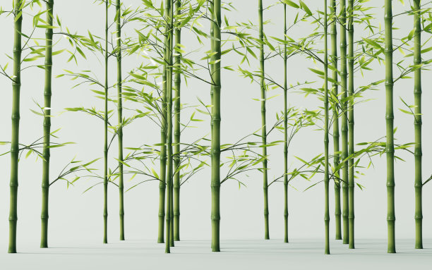 绿色天然竹子植物背景，3d渲染。图片下载