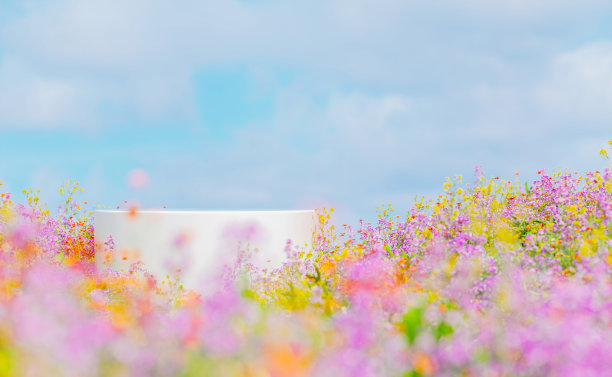 自然风光的讲台背景配上春暖花开的田野风光。3 d渲染。图片下载